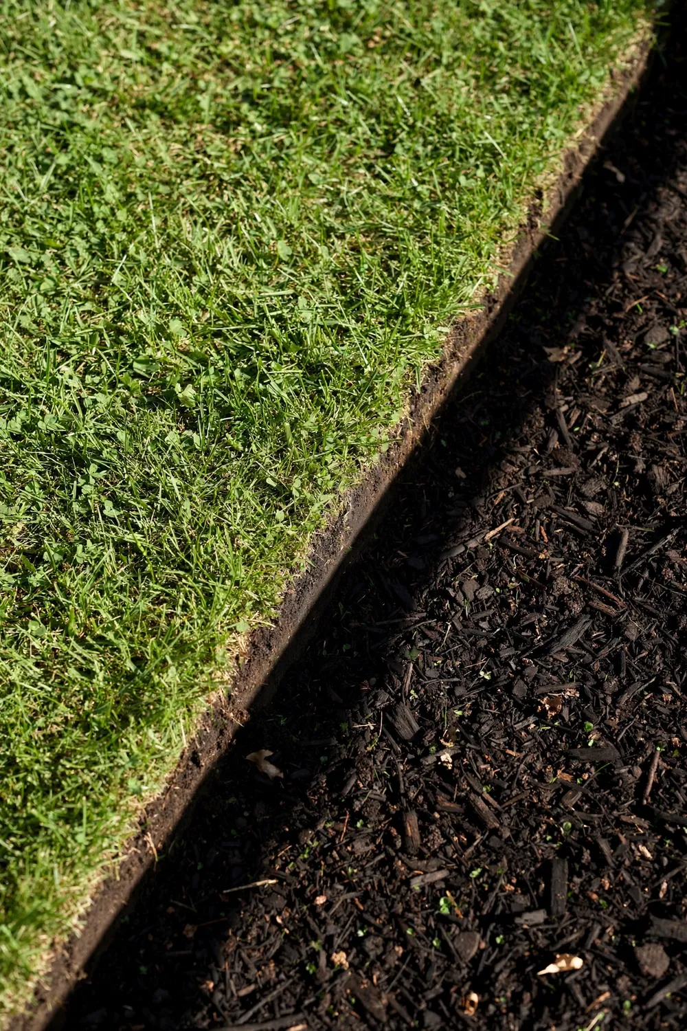 Close-up of a crisp spade-cut trench edge between green lawn and a dark mulched flower bed